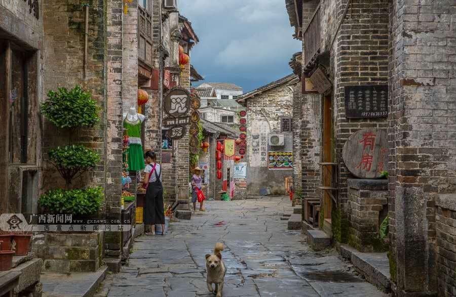 小猫钓鱼游戏龙王版有船